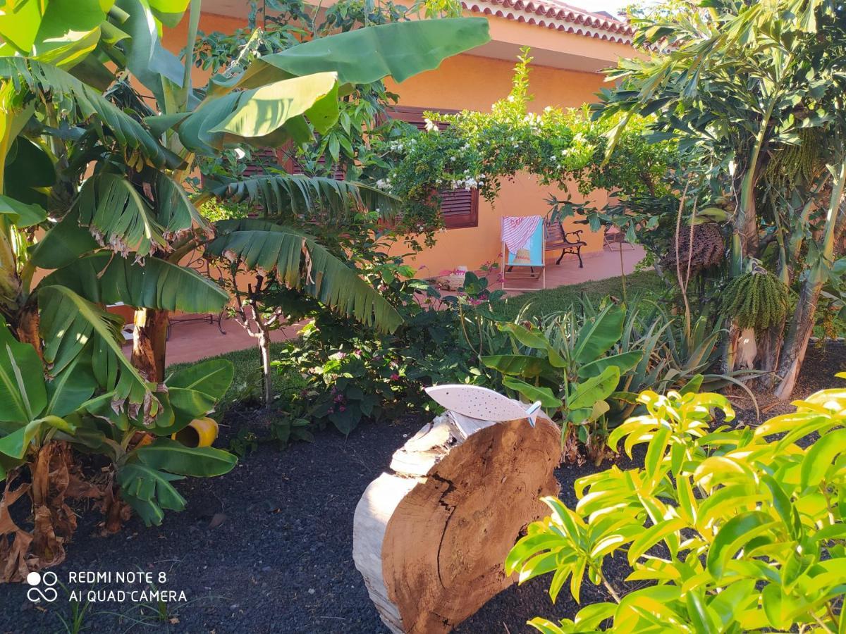 Energy Garden Villa Bajamar  Exterior foto